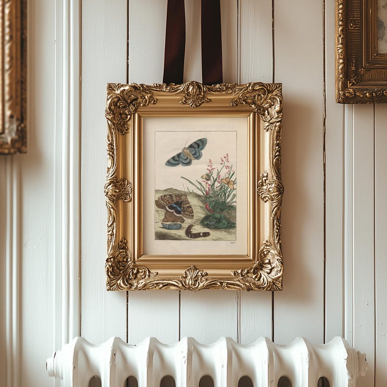 Vintage Butterfly Moth Botanical Print Blue Gray Nature Wall Art ...