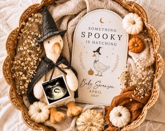 May include: A round woven basket containing a plush goose wearing a black witch hat and cape, a sonogram photo, and an arched sign reading Something Spooky Is Hatching Baby Swanson April 2027. Small white and orange pumpkins and dried flowers fill the basket.