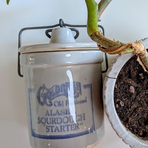 Peut inclure: Un pot en céramique gris clair avec un couvercle et une anse en fil de fer. L'avant présente un texte bleu indiquant Goldrush Old Fashioned ALASKAN SOURDOUGH STARTER. Une plante avec une tige épaisse et des feuilles vertes est placée à côté.