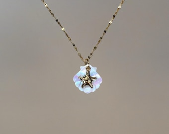 Fond Transparent Avec Des Silhouettes De Coquillages Hippocampe Et étoile De Mer | Vecteur Premium