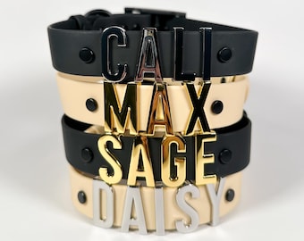 Collare per cani con nome personalizzato, collare per cani personalizzato, collare per animali domestici personalizzato, fettuccia in nylon rivestita in PVC, accessorio per cani, targhetta con nome per animali domestici, gioielli per cani