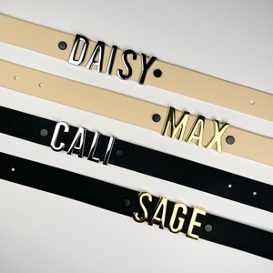 Puede incluir: Primer plano de cuatro cinturones personalizados. Los cinturones son de color crema y negro. Los nombres "DAISY", "MAX", "CALI" y "SAGE" se muestran en letras met&aacute;licas plateadas y doradas. Cada cintur&oacute;n tiene un solo tachuela negra a cada lado del nombre.