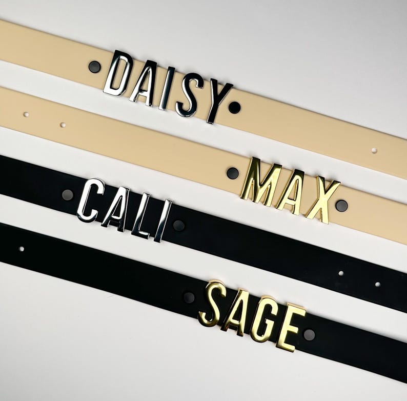 Puede incluir: Primer plano de cuatro cinturones personalizados. Los cinturones son de color crema y negro. Los nombres "DAISY", "MAX", "CALI" y "SAGE" se muestran en letras met&aacute;licas plateadas y doradas. Cada cintur&oacute;n tiene un solo tachuela negra a cada lado del nombre.