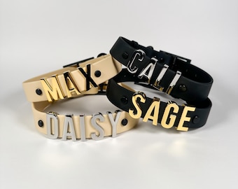 Collare per cani con nome personalizzato, collare per cani personalizzato, collare per animali domestici personalizzato, fettuccia in nylon rivestita in PVC, accessorio per cani, targhetta con nome per animali domestici, gioielli per cani