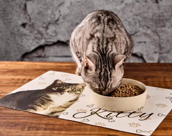 Custom Pet Placemat, Personalized PU Leather Dog Cat Feeding Mat
