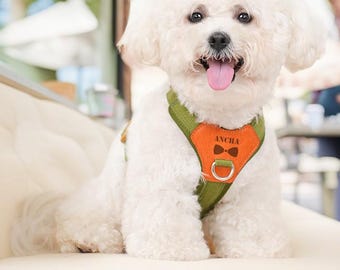Personalized Harness Leash, Custom Puppy Harness Set, Luxury Pet Supplies Puppy Training Premium, Adjustable Harness, Cat Harness, Pet Gift