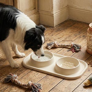 best fresh frozen dog foods on the market Steve's Real Food Frozen Raw Dog Food Nuggets | Variety Bundle