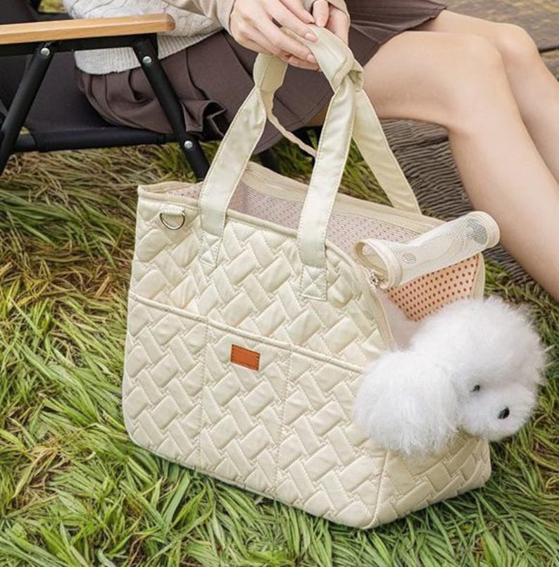 May include: A cream-colored quilted pet carrier with a mesh window and a small white dog peeking out. The carrier has a brown leather handle and a zippered pocket on the front.