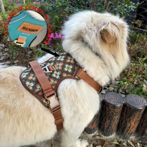Personalized Oxford Dog Harness,  Anti - Pull Dog Harness, Night Reflective Collar with Name Engraved, Gift For Pet, Pet Christmas gift