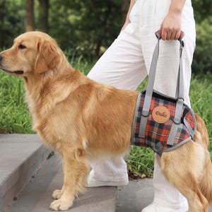 May include: A golden retriever wearing a red, blue, and black plaid dog support harness with grey straps and a circular tan leather patch featuring the name Duke embossed in black. The harness includes a handle for lifting and metal D-rings.
