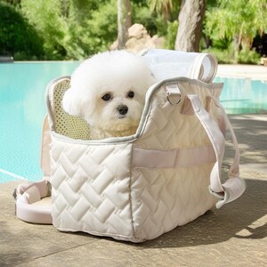 May include: A white quilted pet carrier with a white dog inside. The carrier has a pink strap and a mesh window. The carrier is sitting on a concrete surface near a pool.