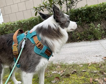 Personalized Reflective Pet Harness: No-Pull Dog Collar, Custom Name