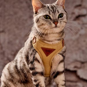 May include: A silver tabby cat wearing a tan cat harness with brown leather accents. The harness has a triangular patch with the name "Milly" on it. The cat has green eyes and is looking towards the camera.