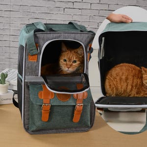 May include: A gray and teal pet carrier backpack with a brown cat inside. The carrier has a front flap with a mesh window, brown leather-like straps, and a handle. A second carrier is shown with a cat inside.