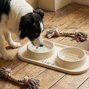 Personalized Engraved Pet Slow Feeder Bowl and Water Station, Custom Dog Cat Food Mat Silicone Non Slip, Modern Small Breed Gift