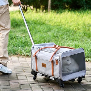 Personalized Pet Carrier Bag, Custom Dog Travel Bag, Foldable Oxford Pet Carrying Bag, Stylish Dog Cat Carrier, Gift For a Cat Lovers
