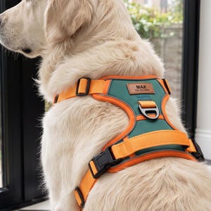 Puede incluir: Un arnés para perro con una base de tela verde oscuro y correas y bordes de nailon naranja brillante. El arnés incluye un parche rectangular de cuero sintético marrón con el texto MAX y 123-123-1234, hebillas de plástico negro y una anilla en D de metal.