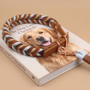 May include: A braided dog collar featuring brown leather and light blue cord accents, secured with a rose gold metal buckle and D-ring. A matching light blue cord leash with brown leather wrapping and a rose gold swivel clasp is attached to the collar.