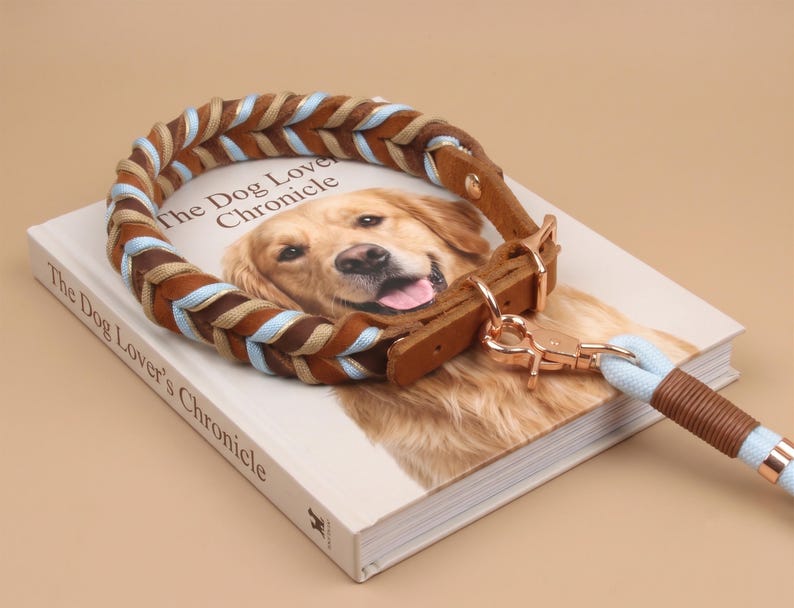 May include: A braided dog collar featuring brown leather and light blue cord accents, secured with a rose gold metal buckle and D-ring. A matching light blue cord leash with brown leather wrapping and a rose gold swivel clasp is attached to the collar.