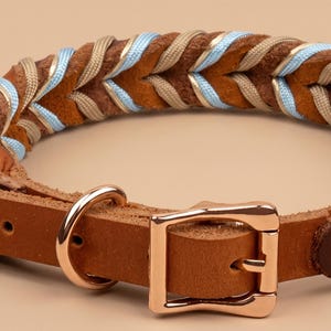 May include: A brown leather collar featuring a braided design with interwoven light blue and beige nylon cords. The collar includes a polished rose gold metal buckle, a matching D-ring for attachment, and a series of adjustment holes on the strap.