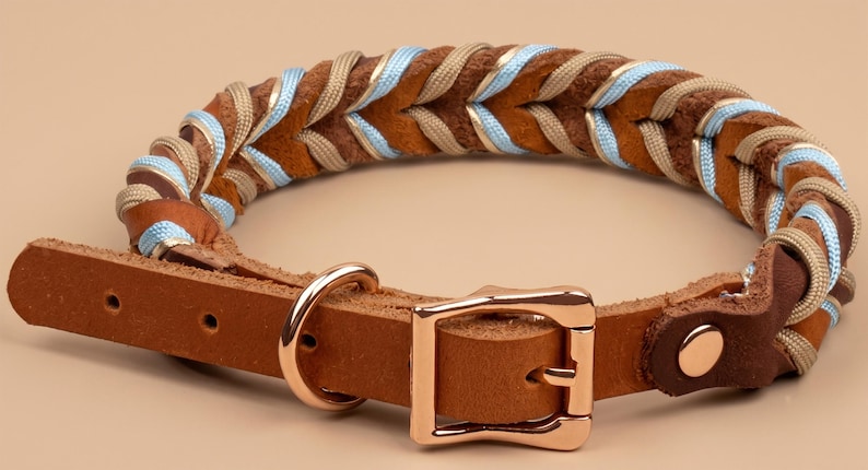 May include: A brown leather collar featuring a braided design with interwoven light blue and beige nylon cords. The collar includes a polished rose gold metal buckle, a matching D-ring for attachment, and a series of adjustment holes on the strap.