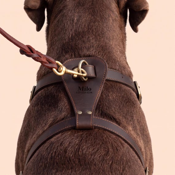 Personalized Dog Lover Gift, Custom Leather Dog Harness, New Puppy Gift Box, Engraved Dog Gear Present, Pet Memorial Gift for Dog Mom