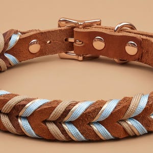 May include: A braided collar featuring brown leather strips interwoven with light blue and beige nylon cord. The collar includes a polished rose gold metal buckle, a matching D-ring, and two circular rivets securing the leather strap ends together.