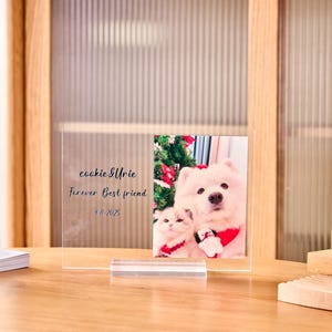 Custom Acrylic Pet Memorial Plaque, Personalized Pet Photo Gift, Family Photo Block Plaque, Anniversary Gift, Gifts for Animal Lovers