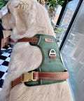 Personalized pet Harness, Night Reflective Collar With Customized Name, No Pull Harness, Solid color Luxury Puppy Harness,  Gift  For Pet product logo