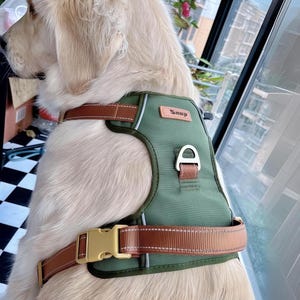 Personalized pet Harness, Night Reflective Collar With Customized Name, No Pull Harness, Solid color Luxury Puppy Harness,  Gift  For Pet