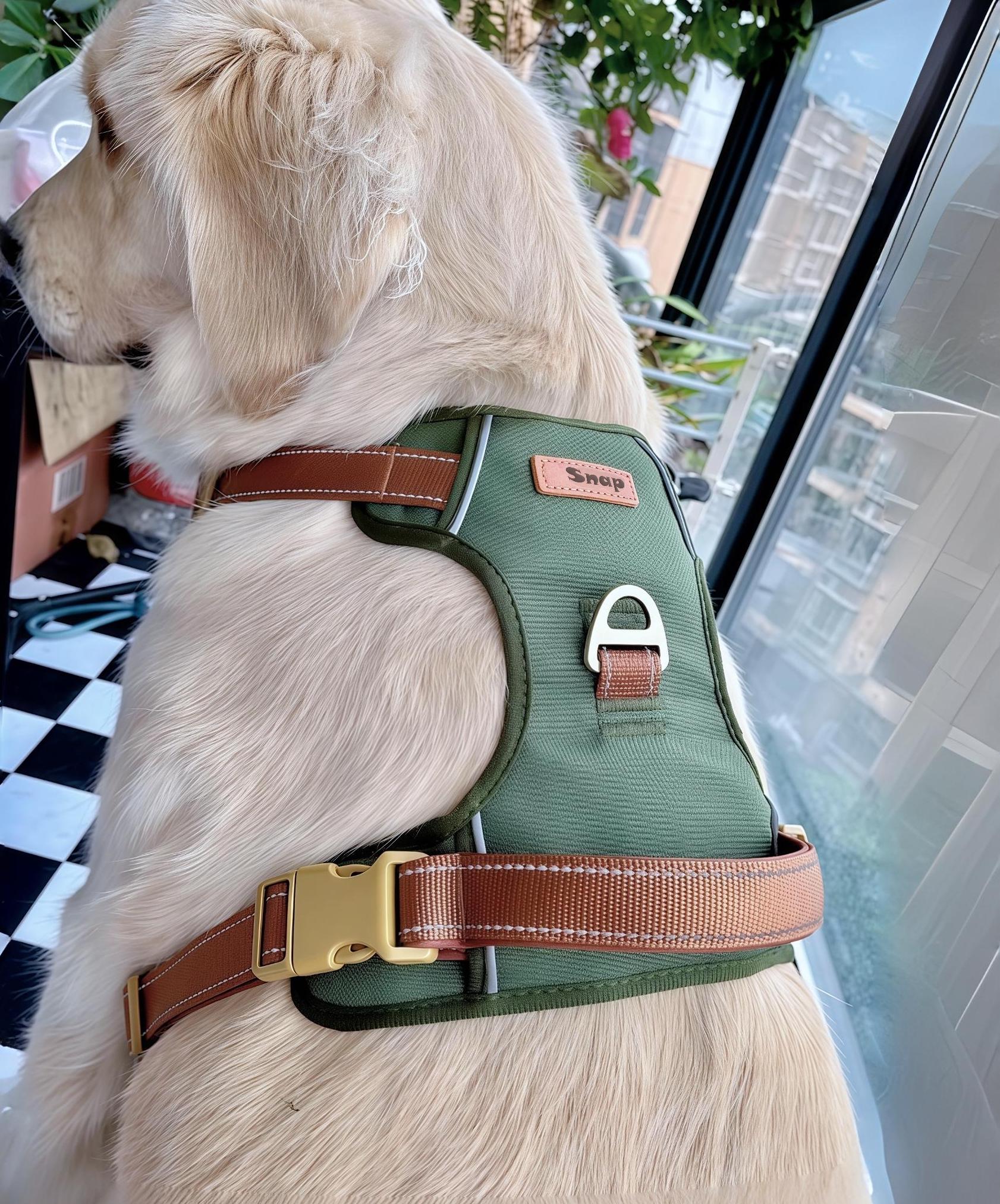 Pitbull harness - Etsy 日本, image size:1682x2024