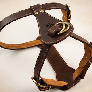 Personalized Dog Lover Gift, Custom Leather Dog Harness, New Puppy Gift Box, Engraved Dog Gear Present, Pet Memorial Gift for Dog Mom image 10