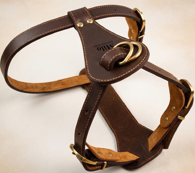 Personalized Dog Lover Gift, Custom Leather Dog Harness, New Puppy Gift Box, Engraved Dog Gear Present, Pet Memorial Gift for Dog Mom image 10