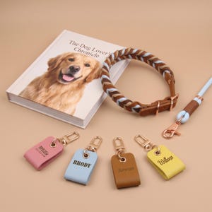 May include: A braided dog collar with brown leather and light blue accents, a matching leash, and four rectangular leather keychains in pink, light blue, brown, and yellow. The keychains are engraved with the names Millie, Brody, Rowan, and Willow.