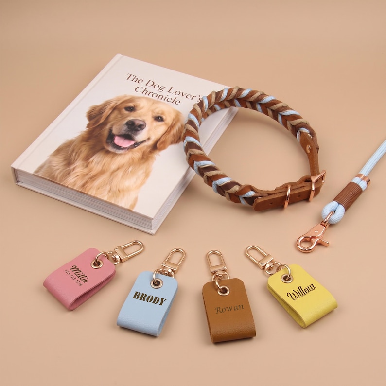 May include: A braided dog collar with brown leather and light blue accents, a matching leash, and four rectangular leather keychains in pink, light blue, brown, and yellow. The keychains are engraved with the names Millie, Brody, Rowan, and Willow.