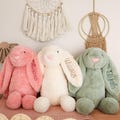 Personalized Newborn Bunny Gift with Embroidered Name — Soft Stuffed Plush Rabbit, Custom Baby Shower Keepsake, Ships Fast