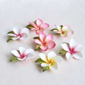 May include: An overhead shot of seven artificial plumeria flowers. The flowers are in shades of pink, white, and yellow, with green leaves. The petals have a gradient effect, and the flowers are arranged on a light background.