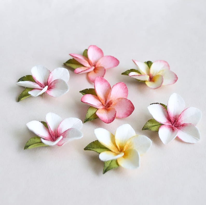 May include: An overhead shot of seven artificial plumeria flowers. The flowers are in shades of pink, white, and yellow, with green leaves. The petals have a gradient effect, and the flowers are arranged on a light background.