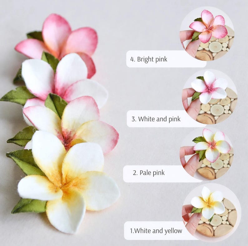 May include: Close-up of handmade plumeria flowers in various colors: bright pink, white and pink, pale pink, and white and yellow. The image also includes the text "4. Bright pink", "3. White and pink", "2. Pale pink", and "1. White and yellow".
