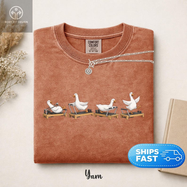 Peut inclure: Un sweat-shirt couleur terre cuite avec un col rond. Le t-shirt pr&eacute;sente un motif brod&eacute; de quatre oies blanches sur des appareils de Pilates. Un collier argent&eacute; avec un pendentif en forme d'&eacute;clat de soleil est drap&eacute; sur le t-shirt. Le texte "Yam" est en bas.