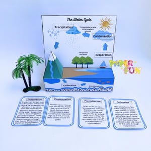 May include: An educational model illustrating the water cycle, with a 3D diorama showing precipitation, condensation, evaporation, and collection. Includes cards explaining each stage and a small plastic palm tree.