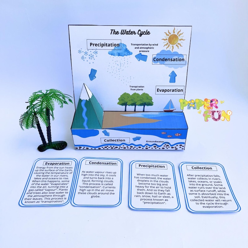 Water Cycle 3d Model - Etsy