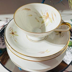 Edelstein Bavaria China Dinnerware Set - 6-Person Porcelain Place Setting