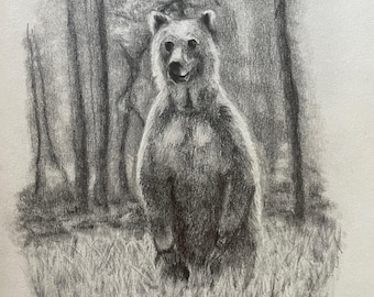 オリジナルのハイイログマの絵、黒線画、クマのイラスト、壁