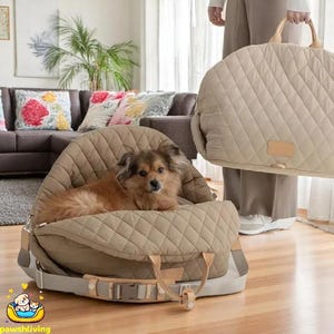 Collapsible Soft Sided Pet Carrier for Small Dogs - Airline Approved Travel Bag and Car Seat