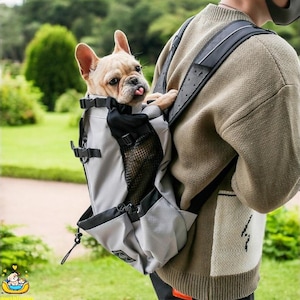 Może przedstawiać: Szary i czarny plecak do noszenia zwierząt domowych z francuskim buldogiem w środku. Plecak ma siatkowy panel i kieszeń zapinaną na zamek błyskawiczny. Pies patrzy z transportera z wysuniętym językiem.