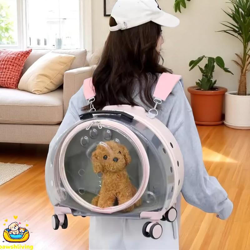 Zaino per il trasporto di animali domestici approvato dalle compagnie aeree con ruote: trasportino trasparente per cani e gatti