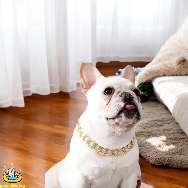 Buy Pitbull Chain Online In India - Etsy India