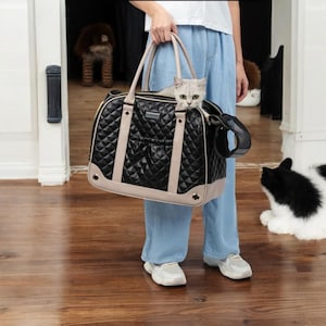 Luxury Pet Carrier Handbag – Stylish and Breathable Shoulder Bag for Small Dogs & Cats