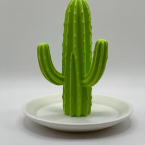 Custom Cactus Ring Holder – 4-Arm Jewelry Organizer with Detachable Tray
